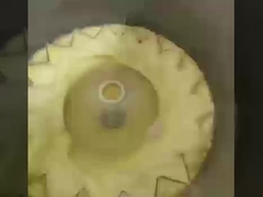 آلة طلاء البيض التجارية